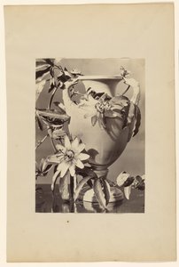 Vase with Passion Flowers by Unknown artist
