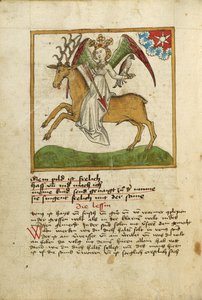 Venus Riding a Stag by Unknown artist