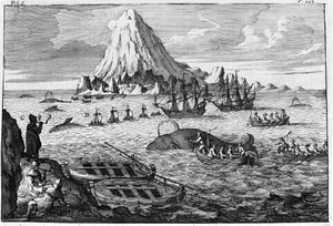 Whaling off the island of Jan Mayen. Early 18th century by Unknown artist