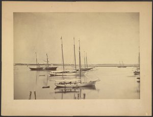 Yachts in Harbor