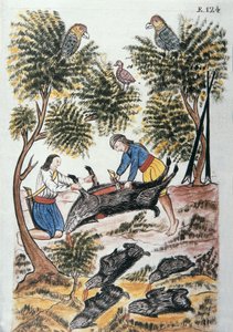 Young Indians motilones butcher a wild boar, from the book Trujillo del Peru or Codice Martinez Compañón, by Baltazar Martinez Compañón y Bujanda, bishop of Trujillo (1782-1785)