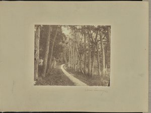 Avenue Tiendong