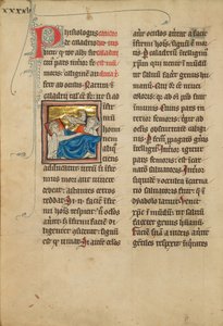 Caladrius Birds