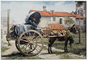 A carter carrying his wine. Rome, Italy by Unknown photographer