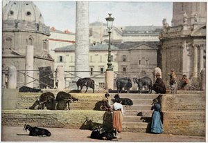 Ancient Rome: View of the Roman Forum. Italy, Late 19th Century by Unknown photographer