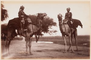 Camel Sowars at the Delhi Camp of Exercise by Unknown photographer