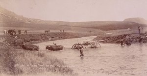 Canon crossing a river during the Boer War by Unknown photographer
