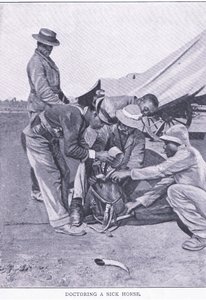 Doctoring a sick horse, from After Pretoria: The Guerilla War published by Harmsworth Bros Limited by Unknown photographer