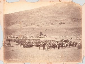 Kashmir Contingent of the Black Mountain expedition