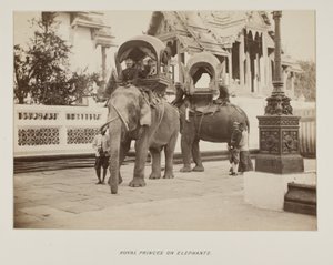 Photograph in photograph album