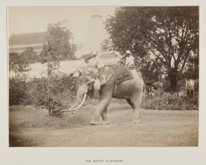 Photograph in photograph album by Unknown photographer