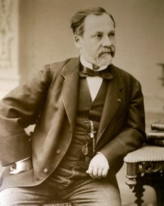 Portrait of Louis Pasteur