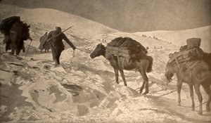 The French and Italian Positions Have More Than 2 Meters of Snow Above Sea Level