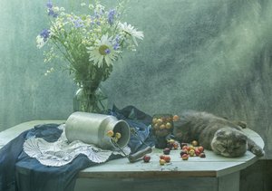 Sleeping Cat and Cherries by UstinaGreen