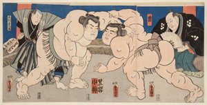 Sumo Wrestling Match between Koyanagi and Kuroiwa