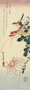 Chrysanthemums and a Shrike