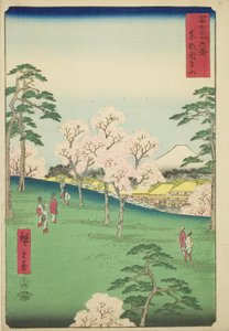 Asuka Hill in the Eastern Capital, from the series "Thirty-six Views of Mount Fuji"