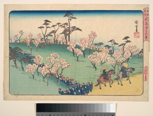 Asukayama Hanami by Utagawa Hiroshige