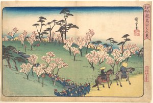 Asukayama Cherry Blossom Viewing by Utagawa Hiroshige
