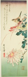 Bird and Chrysanthemums by Utagawa Hiroshige