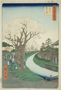 Blossoms on the Tama River Embankment, from the series 