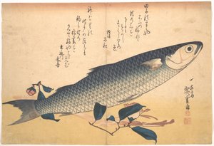 Bora Fish with Camellia, from the series Every Variety of Fish by Utagawa Hiroshige