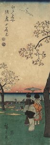 Cherry Blossom Viewing at Gotenyama