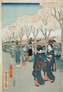 Cherry Blossoms on the Jewel River Embankment by Utagawa Hiroshige