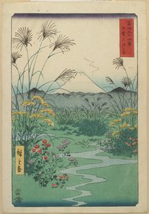 Field at Otsuki in Kai Province, April 1858