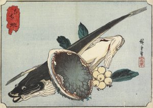 Flathead and Abalone, early 19th century