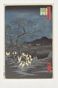 Fox Fires on New Year