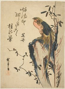 Golden Pheasant by Utagawa Hiroshige