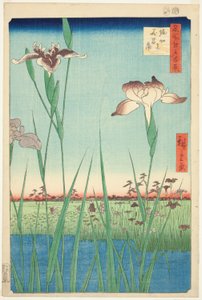 Irises at Horikiri, from the series "One Hundred Famous Views of Edo" by Utagawa Hiroshige