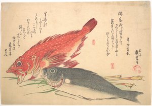 Isaki and Kasago Fish, from the series Every Variety of Fish by Utagawa Hiroshige
