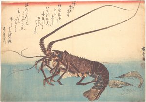 Ise-ebi and Shiba-ebi, from the Series Uozukushi (Every Variety of Fish) by Utagawa Hiroshige