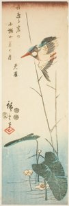 Kingfisher above a Yellow-flowered Water Plant