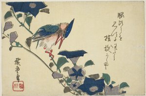 Kingfisher and Bellflowers