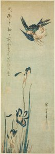 Kingfisher and Iris by Utagawa Hiroshige