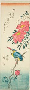 Kingfisher and Roses