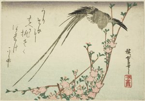 Long-tailed Bird and Peach Blossoms by Utagawa Hiroshige