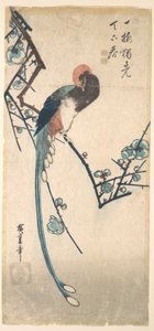Long Tailed Bird by Utagawa Hiroshige