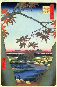 Maple Trees at Mam, Tekona Shrine and Linked Bridge, plate 94 from the series One Hundred Views of Edo, Edo Period, Ansei Era, 1857