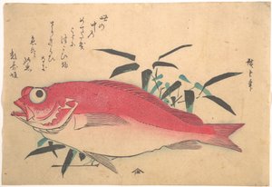 Medetai Fish and Sasaki Bamboo, from the Series Every Variety of Fish by Utagawa Hiroshige