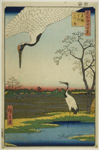 Minowa, Kanasugi, Mikawashima, from the series 