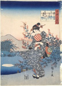 Noji: Six Tama Rivers