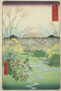 Otsuki Plain in Kai Province, from the series "Thirty-six Views of Mount Fuji"