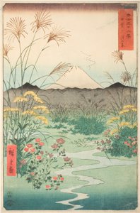 Otsuki Plain in Kai Province, from the series "Thirty-six Views of Mount Fuji"