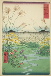 Otsuki Plain in Kai Province, from the series "Thirty-six Views of Mount Fuji"