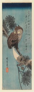 Owl on a pine branch by Utagawa Hiroshige