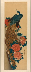 Peacock and Peonies by Utagawa Hiroshige